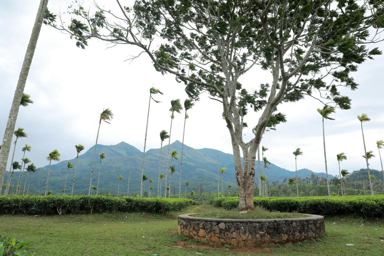 Aldora Holiday Homes Vythiri Buitenkant foto