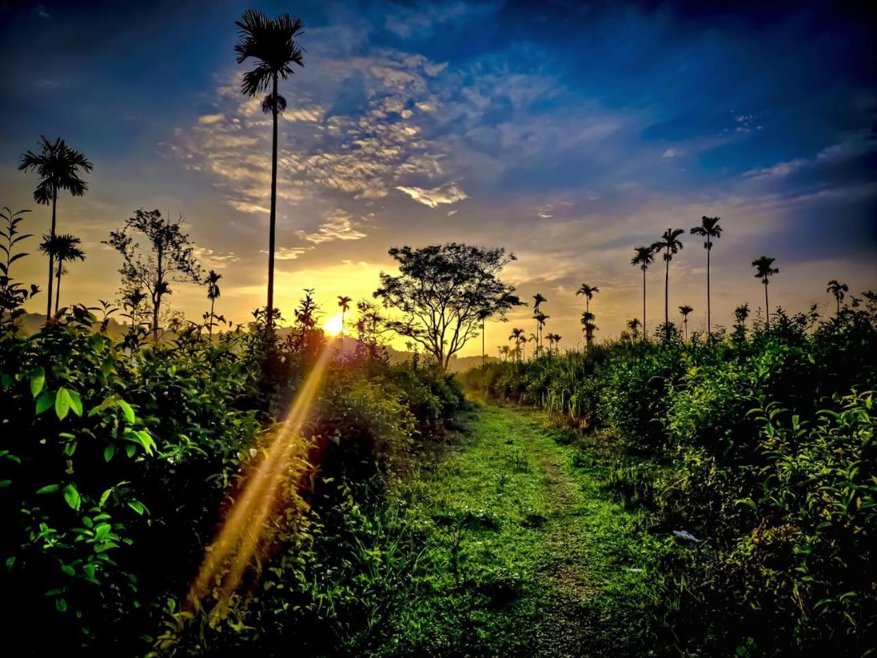 Aldora Holiday Homes Vythiri Buitenkant foto